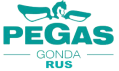 Логотип Pegas-Gonda
